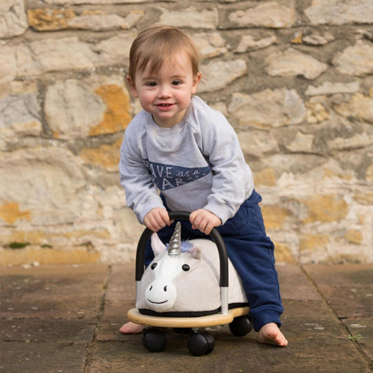 Toddler Ride on Toys