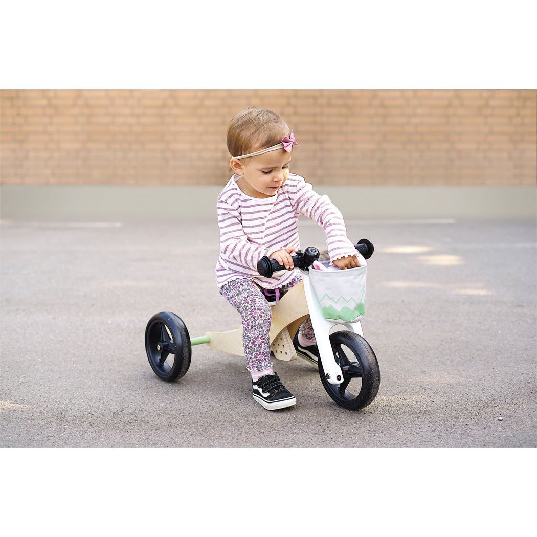 Small Foot Training Bike and Trike - Sage Green
