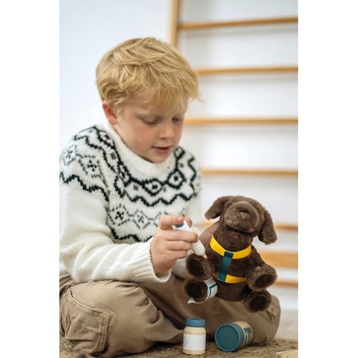 Small Foot Dog with Carry Bag and Care Set