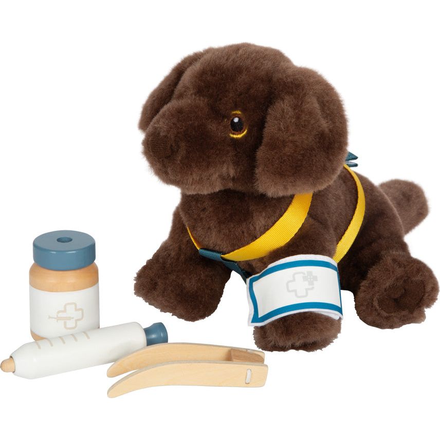 Small Foot Dog with Carry Bag and Care Set