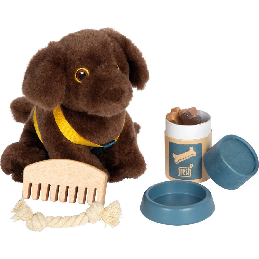 Small Foot Dog with Carry Bag and Care Set