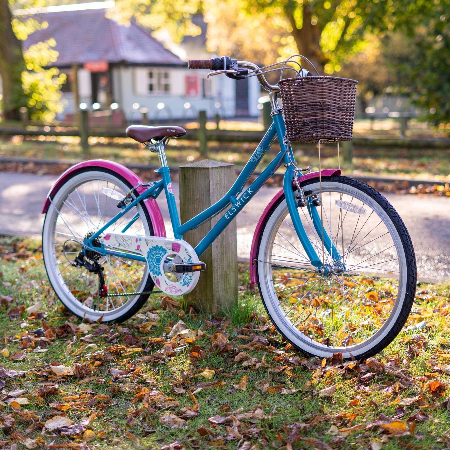 Elswick Eternity 24 Inch Bike