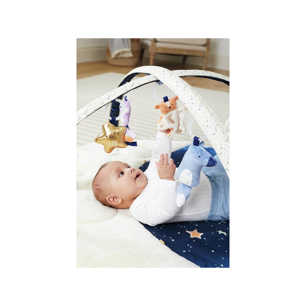 Skip Hop Celestial Dreams Activity Gym Playmat