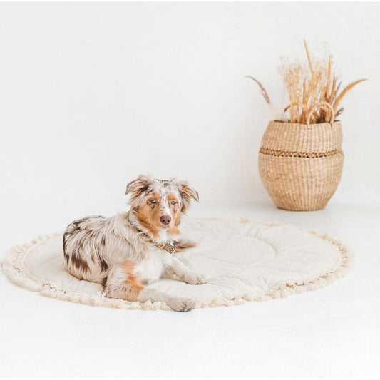 dog sitting on MINICAMP Kids Playmat With Tassel Border