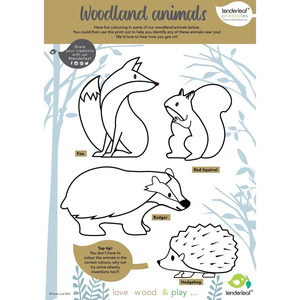 Tender Leaf 8 Wooden Woodland Animals Toys & Shelf activity sheet