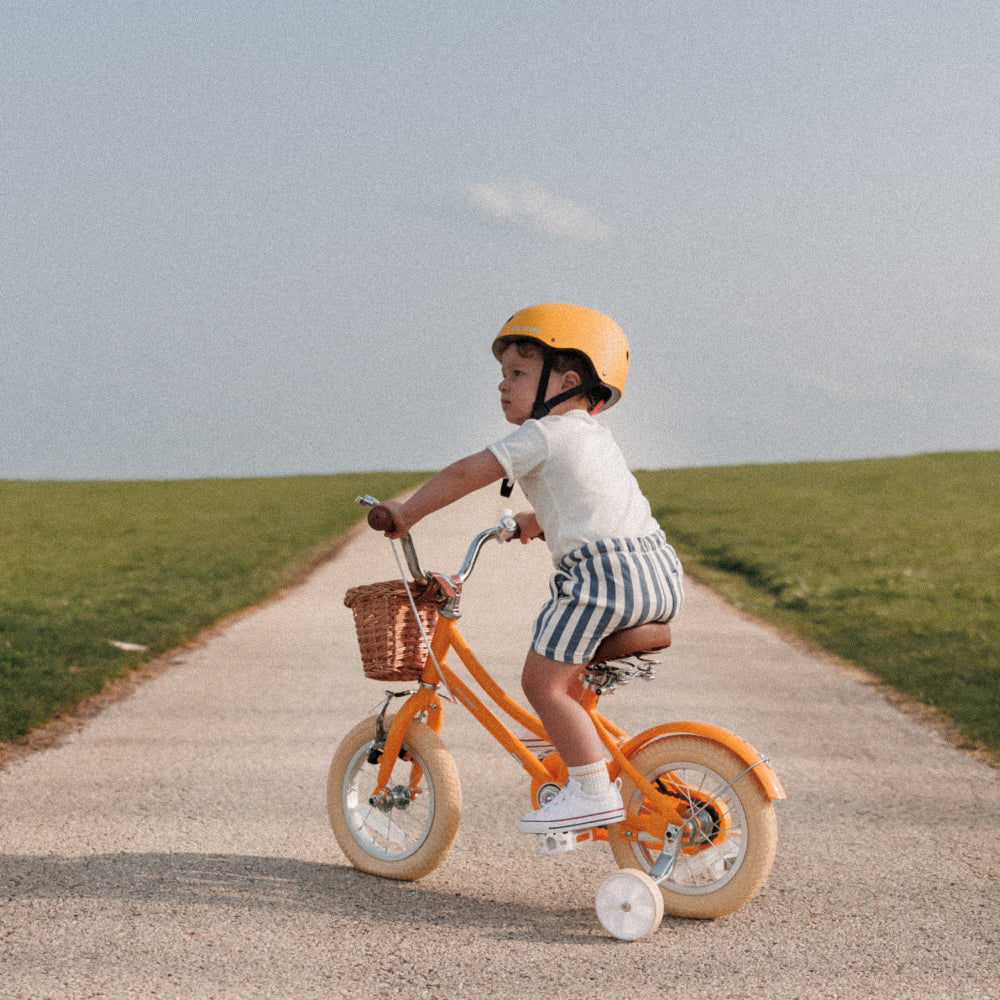 Glerc 16 Inch Kids Bike For 4 - 8 Years Old - Little Molly