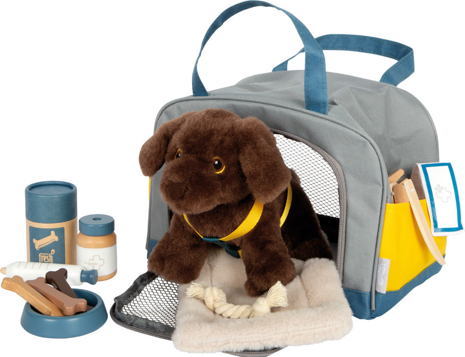 Small Foot Dog with Carry Bag and Care Set