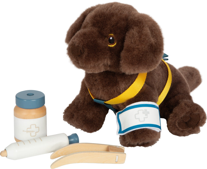 Small Foot Dog with Carry Bag and Care Set