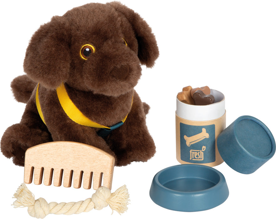 Small Foot Dog with Carry Bag and Care Set