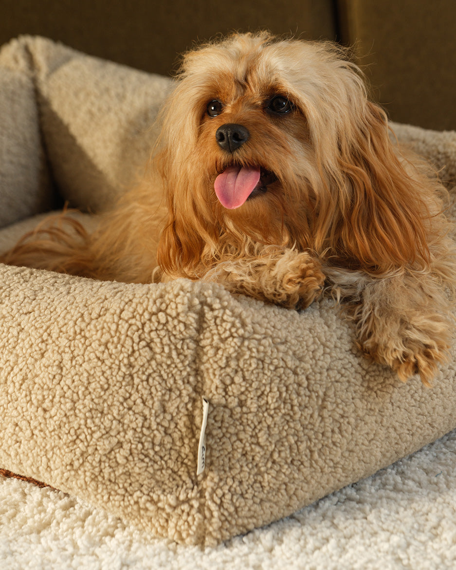 Wigiwama Pet Snuggle Bed