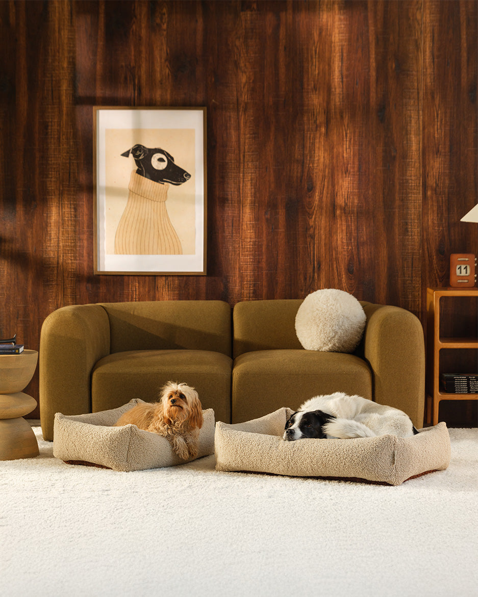Wigiwama Pet Snuggle Bed