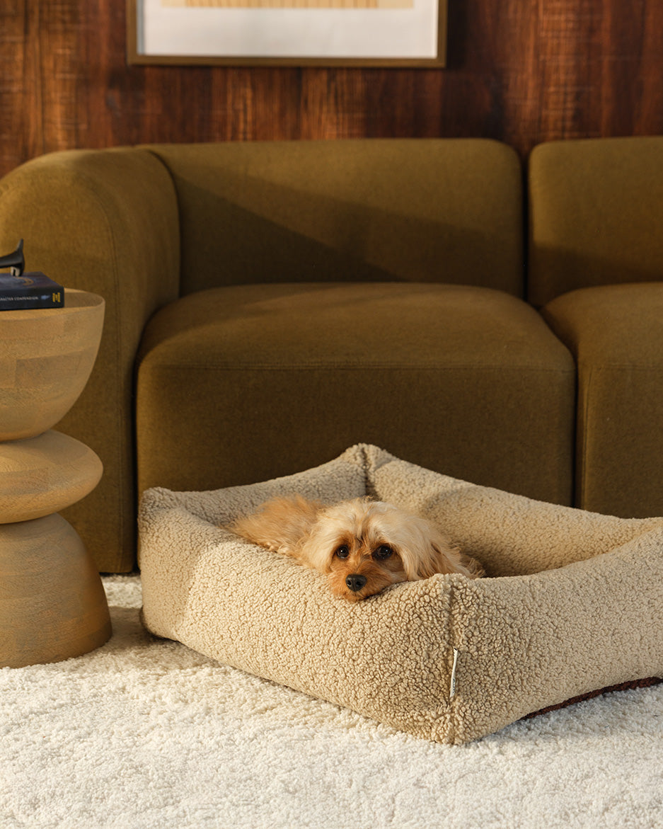 Wigiwama Pet Snuggle Bed