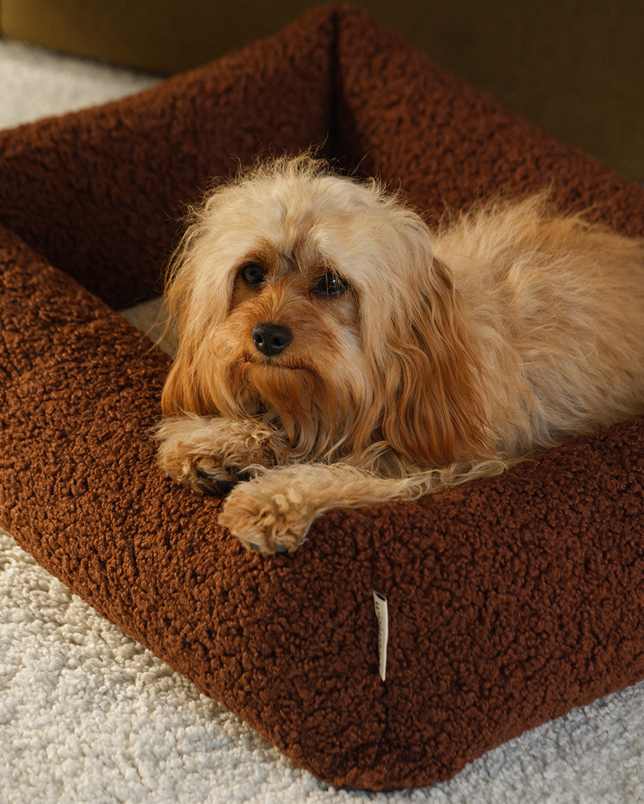 Wigiwama Pet Snuggle Bed