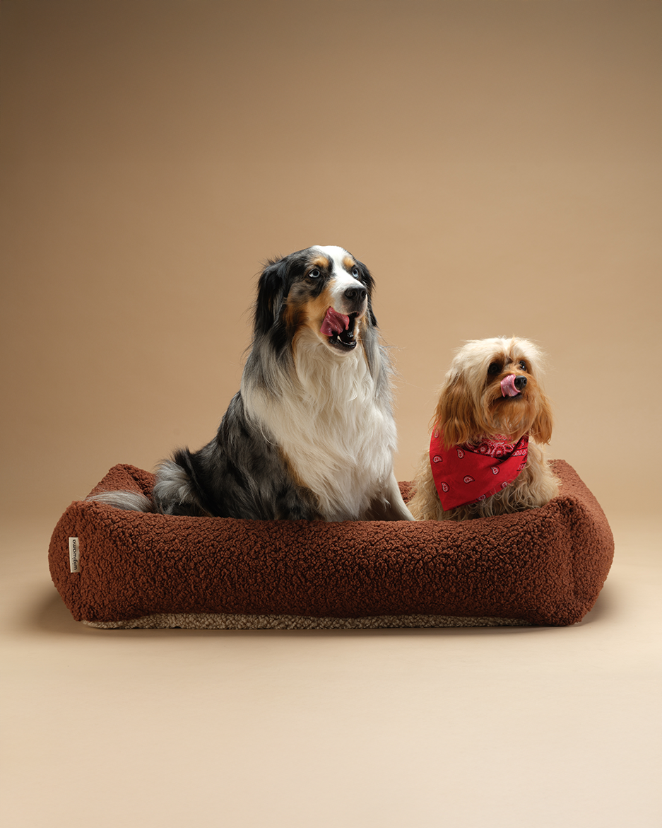 Wigiwama Pet Snuggle Bed