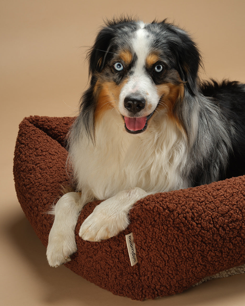 Wigiwama Pet Snuggle Bed
