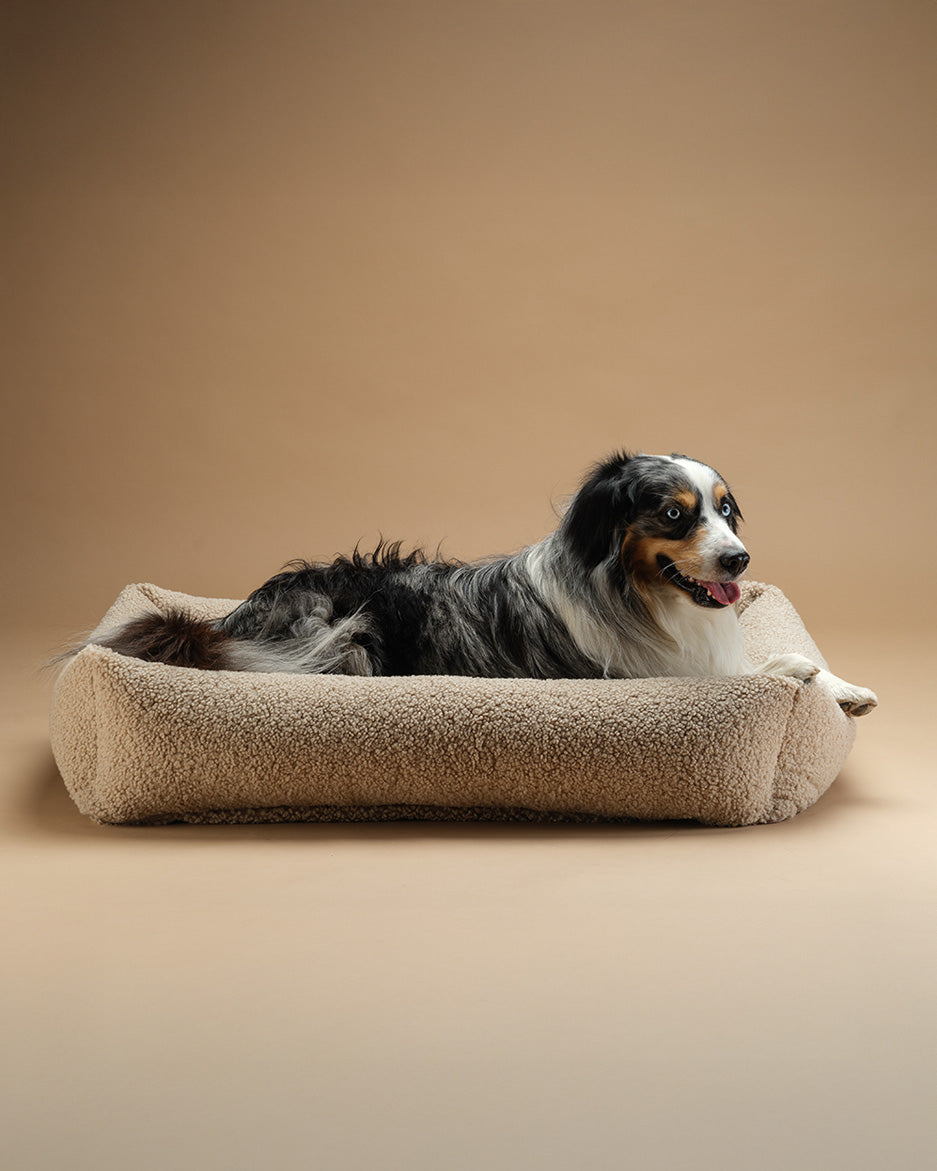 Wigiwama Pet Snuggle Bed