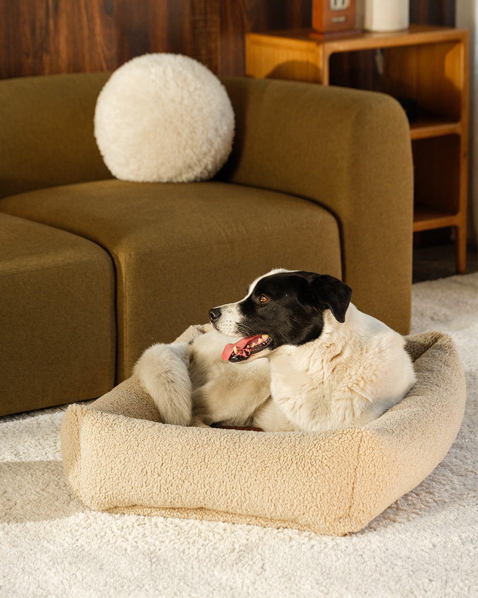 Wigiwama Pet Snuggle Bed