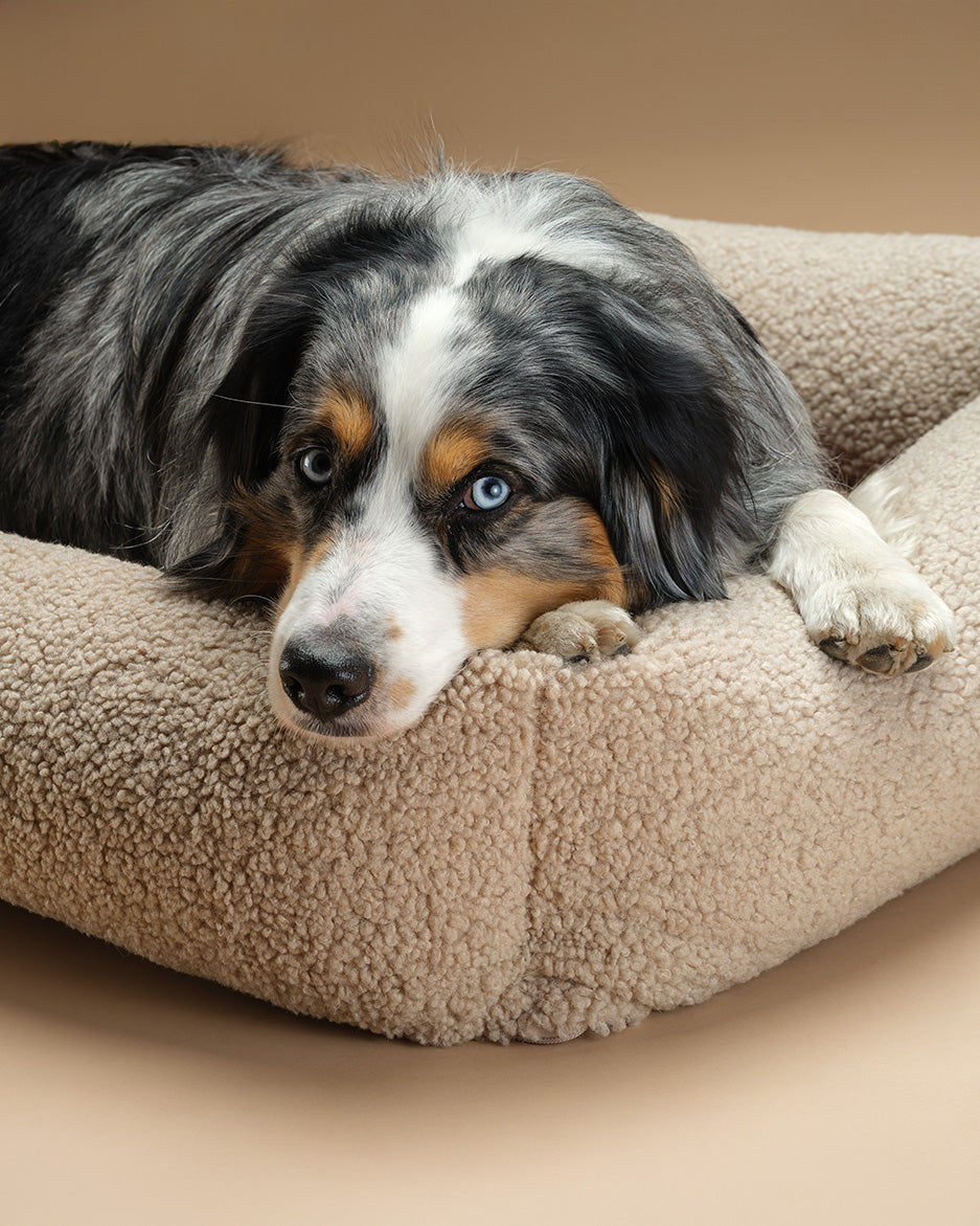 Wigiwama Pet Snuggle Bed