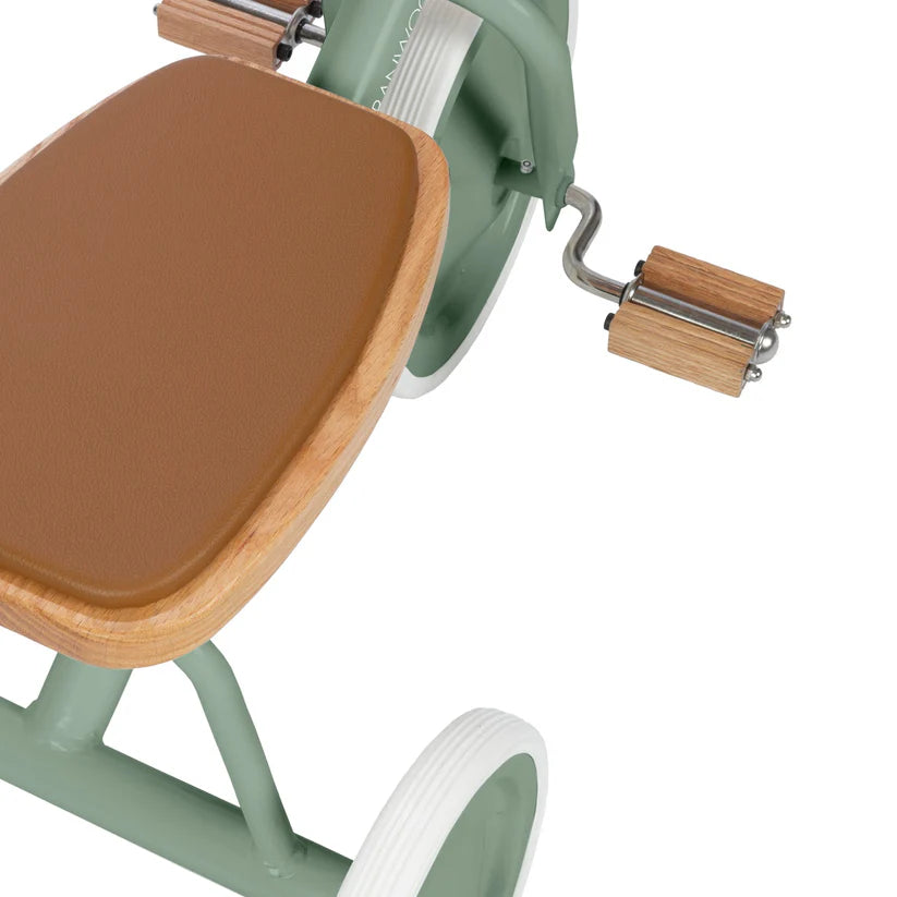 Banwood Trike - Age 2+