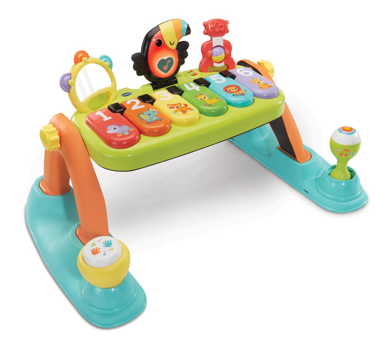 VTech 5-in-1 Toucan Tunes Play Gym