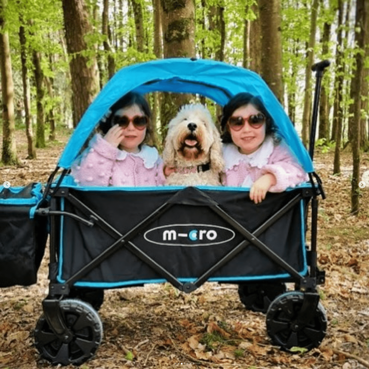 Micro Scooter Wagon Deluxe
