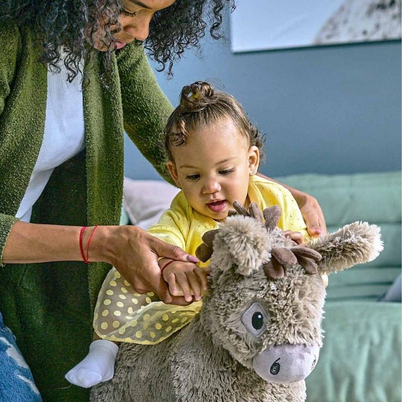 Little Bird Told Me Rocking Donkey Norbert 9m+