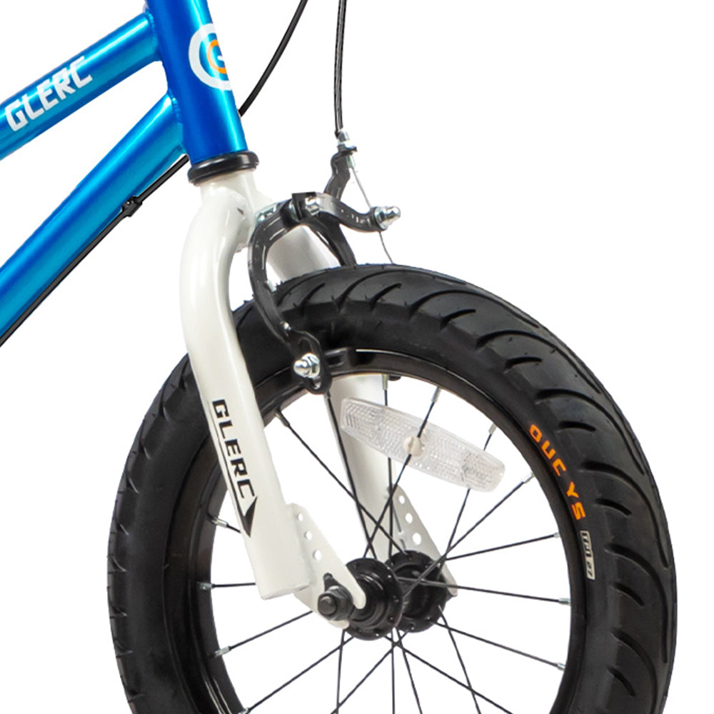 Glerc 12 Inch Kids Bike with Water Bottle - Fantacy