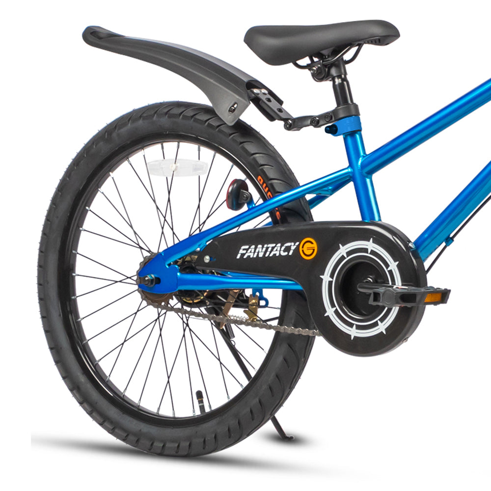 Glerc 20 Inch Kids Bike - Fantacy