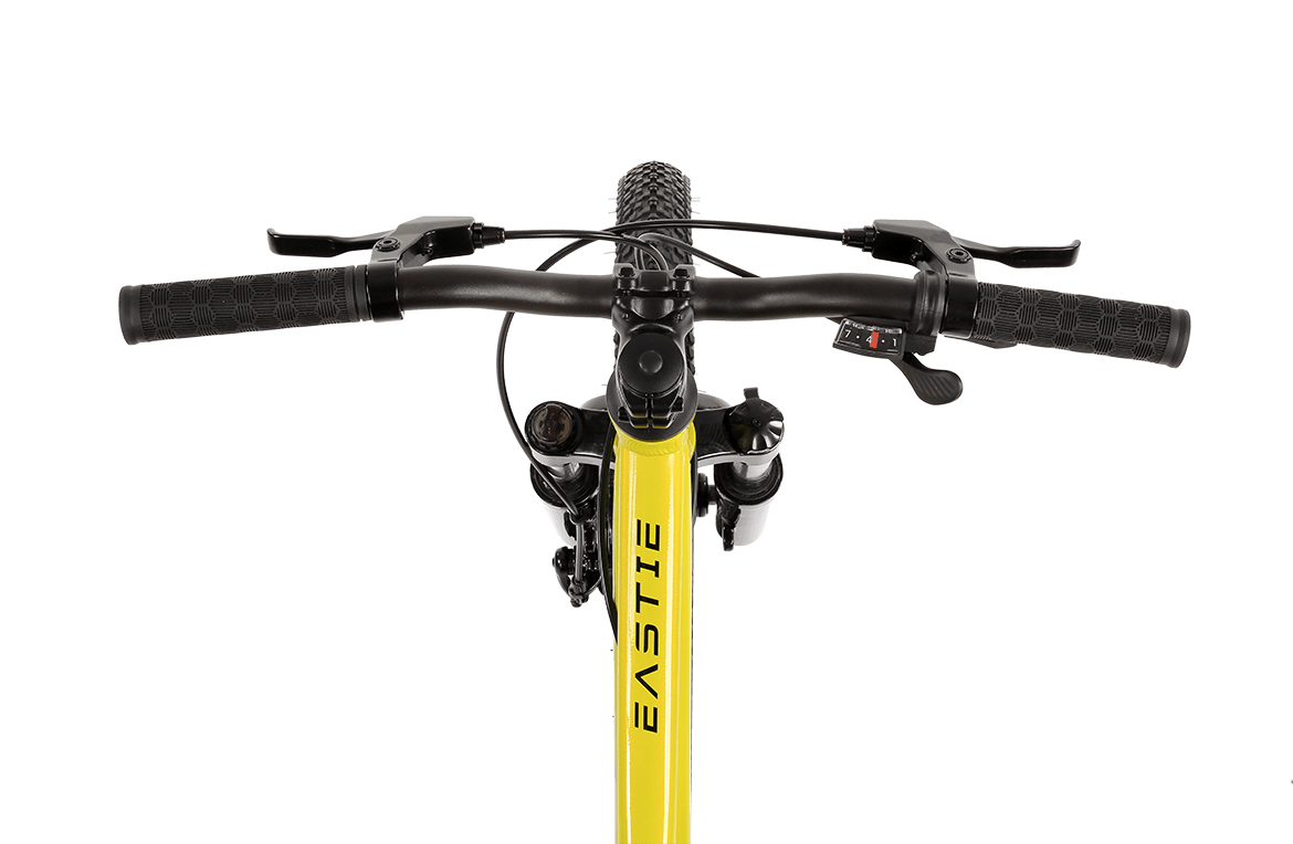 Shyre Eastie 20" Wheel Kids Mountain Bike