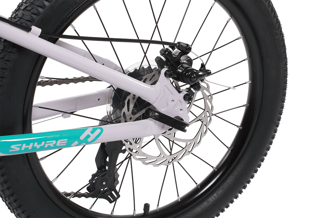 Shyre Eastie 20" Wheel Kids Mountain Bike