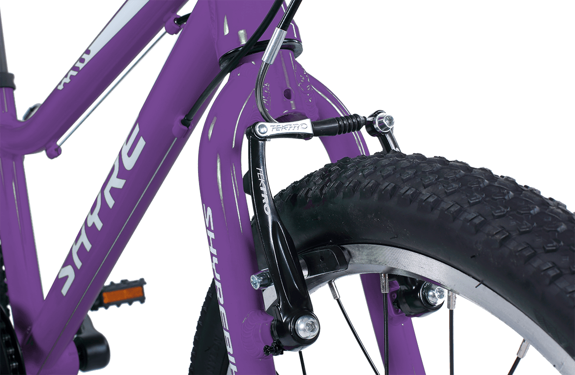 Shyre Hopton 20" Wheel Hybrid Kids Bike