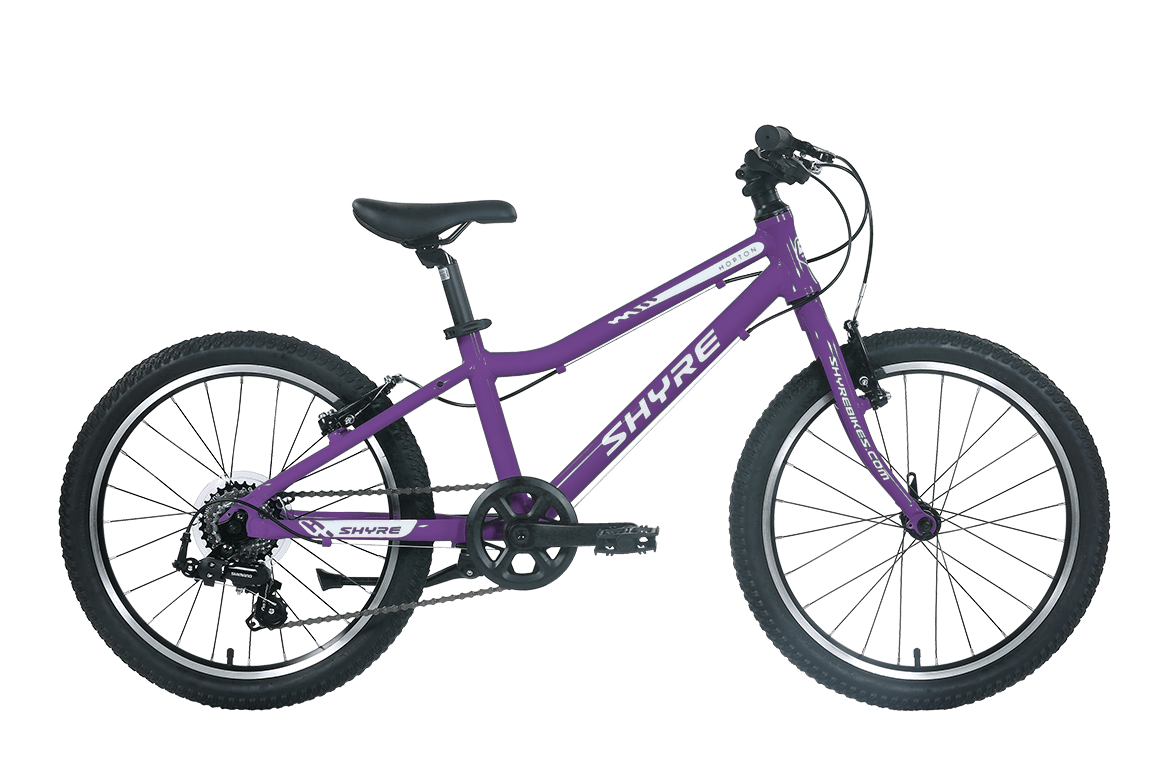 Shyre Hopton 20" Wheel Hybrid Kids Bike