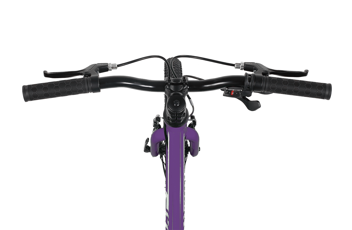 Shyre Hopton 20" Wheel Hybrid Kids Bike