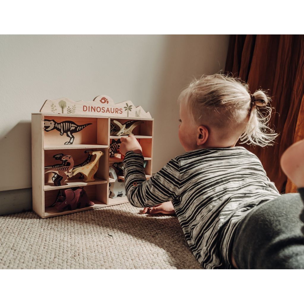 child lying in front of Tender Leaf 8 Wooden Dinosaurs Toys & Shelf