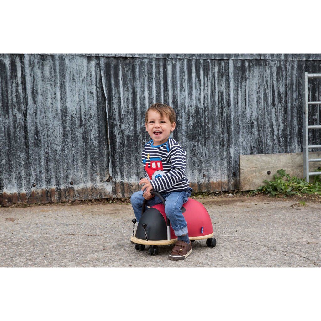 little boy sitting on Wheelybug Ride On - Ladybird