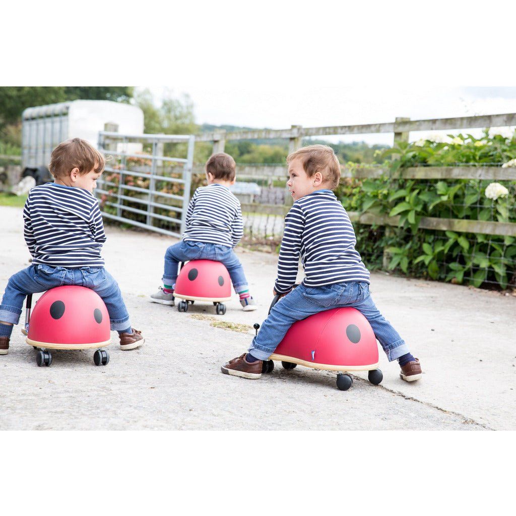 three boys riding on wheelybug ladybird ride-ons from behind